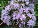 20140415_153625