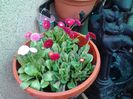 20140415_153716
