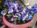 20140415_153723