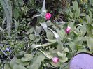 20140415_153948