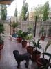 20140415_153908
