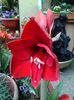 20140415_154009
