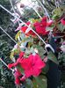20140415_163040