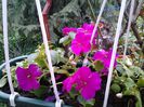 20140415_163155
