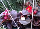 20140415_163203