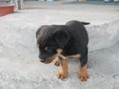 DSCN4608