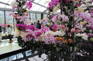 keukenhof 112