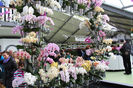 keukenhof 114