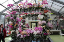 keukenhof 130