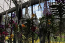 keukenhof 139