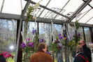 keukenhof 149