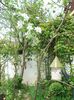 DSC06184