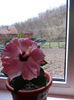 DSCN0665