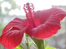 DSC01236
