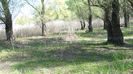 DSC09906