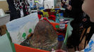 DSC00334