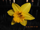 DSCN7595