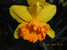 DSCN7638