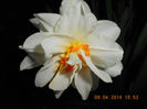 DSCN7844