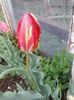 IMG_20140416_170640