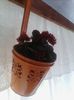 IMG_20140416_170835
