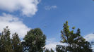 DSC06930