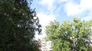 DSC06936
