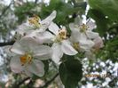 IMG_3985