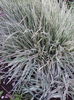 IMG_20140417_130044