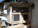 Ferma22 068