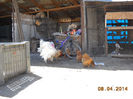 Ferma22 069