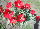 DSCN5798