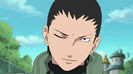 Shikamaru-Nara-shikamaru-18617305-855-480