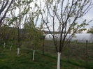 20140418_132710