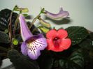 DSC07837