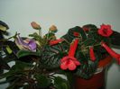 DSC07851