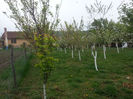 20140418_132740