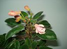 DSC07843