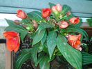 20140414_161249