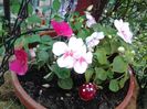 20140414_161338