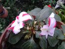 20140415_163034
