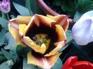 20140419_140715
