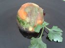 aspic in coji de ou