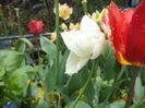 DSC02750
