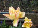 DSC02751