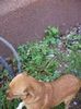 DSC02790
