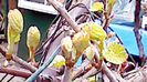 PHOTO_20140419_132522