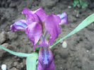 P1050883