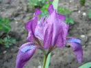 P1050884