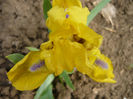 P1050917